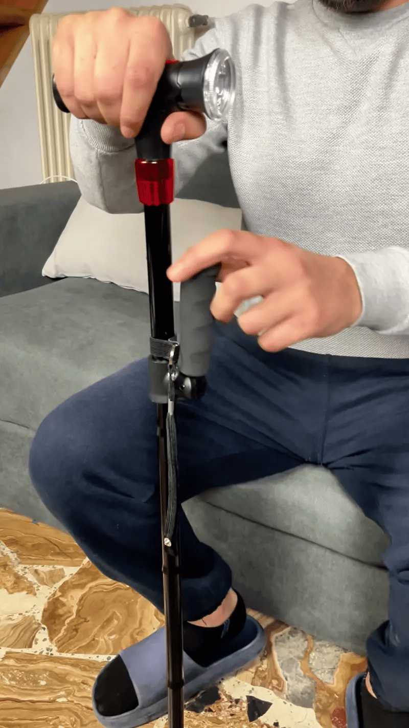 Smart Walking Cane